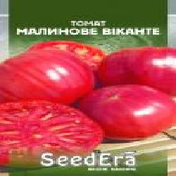 Семена Seedera томат Малиновое Виканте 0,1 г