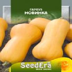 Семена Seedera тыква Новинка 20 г