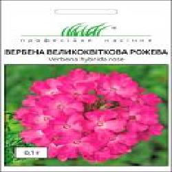 Семена Професійне насіння вербена крупноцветковая розовая 0,1 г