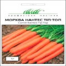 Семена Професійне насіння морковь Нантес Тіп Топ 1 г