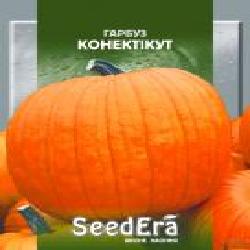 Семена Seedera тыква Коннектикут 20 г