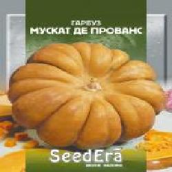 Семена Seedera тыква Мускат де Прованс 1 г (4823073714102)