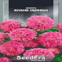 Семена Seedera астра Классик Салмон 0,25 г