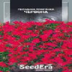 Семена Seedera гвоздика-травянка Красная 0,2 г