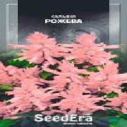 Семена Seedera сальвия блестящая розовая 0,1 г