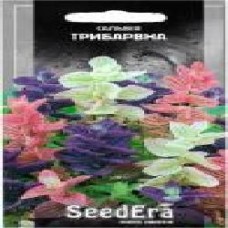 Семена Seedera Сальвия трехцветная 0,2 г