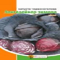 Семена Яскрава капуста краснокочанная Лангедейкер зимняя 0,5 г (4823069808525)
