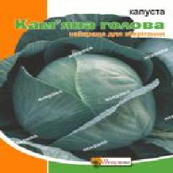 Семена Яскрава капуста белокочанная Каменная Голова пакет гигант 5 г (4823069803339)