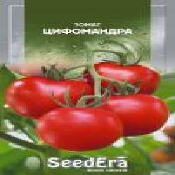 Семена Seedera томат Цифомандра 0,1 г