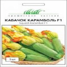 Семена Професійне насіння кабачок Карамболь F1 5 шт.