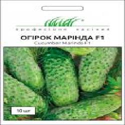 Семена Професійне насіння огурец самоопыляемый Марінда F1 10 шт.