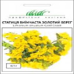 Семена Професійне насіння статица Золотой берег 0,1 г