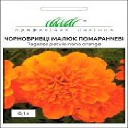 Семена Професійне насіння бархатцы Малыш оранжевые 0,1 г