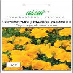 Семена Професійне насіння бархатцы Малыш лимонные 0,1 г