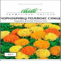 Семена Професійне насіння бархатцы Поллюкс смесь 0,1 г