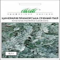 Семена Професійне насіння цинерария приморская Серебрянная пыль 0,1 г