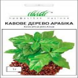 Семена Професійне насіння кофейное дерево Арабика 1 г