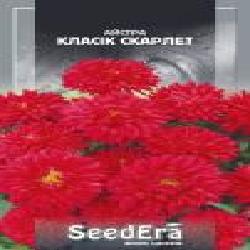 Семена Seedera астра Низкорослая Классик Скарлет 0,25 г (4823073705049)