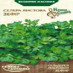 Семена Семена Украины сельдерей листовой Зефир 0,5 г