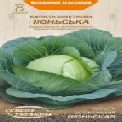 Семена Семена Украины капуста белокочанная Июньская 584900 1 г