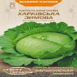 Семена Семена Украины капуста белокочанная Харьковская зимняя 587100 1 г