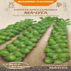 Семена Семена Украины капуста брюссельская Мачуга 587700 0,5 г