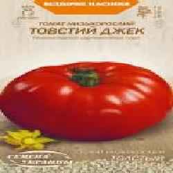 Семена Семена Украины томат низкорослый Толстый Джек 652400 0,1 г