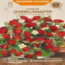 Семена Семена Украины земляника Александрия 660000 0,1 г