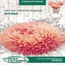 Семена Семена Украины астра пионовидная Янина 771200 0,25 г