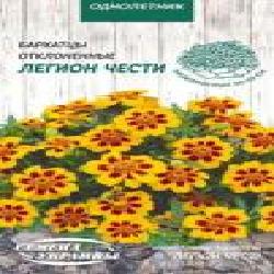 Семена Семена Украины бархатцы отклоненные Легион чести 775200 0,5 г