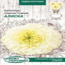 Семена Семена Украины бархатцы прямостоячие Аляска 775800 0,5 г