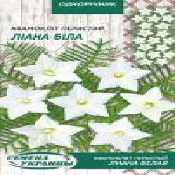 Семена Семена Украины квамоклит перистый Лиана белая 786500 0,25 г