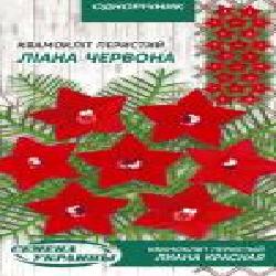 Семена Семена Украины квамоклит перистый Лиана красная 786600 0,25 г