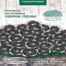 Семена Семена Украины немофила Дисковидная Черная Пенни 0,3 г