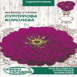 Семена Семена Украины цинния изящная Пурпурная королева 806000 0,5 г