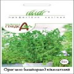 Семена Професійне насіння орегано комнатный 0,1 г
