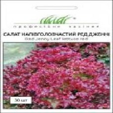 Семена Професійне насіння салат Ред Дженні 30 шт.