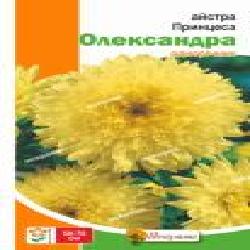 Семена Яскрава астра Принцесса Александра желтая 0,3 г