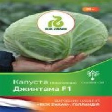 Семена Садовий Світ капуста белокочанная Джинтама F1