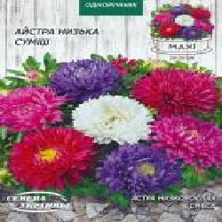 Семена Семена Украины астра низкорослая смесь 3 г