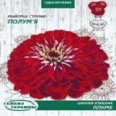 Семена Семена Украины цинния Изящная Пламя (красная) 5 г