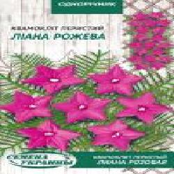 Семена Семена Украины квамоклит перистый Лиана Розовая 0,25 г