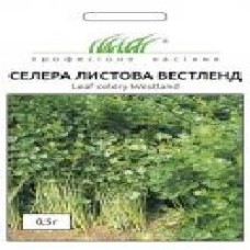 Семена Професійне насіння сельдерей листовой Вестленд 0,5 г (4823058202266)