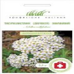 Семена Професійне насіння тысячелистник обыкновенный 0,5 г (4820176692047)