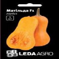 Семена LedaAgro тыква Матильда F1 5 шт. (4820119794692)