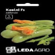 Семена LedaAgro кабачок Кавили F1 5 шт. (4820119791943)