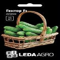 Семена LedaAgro огурец Гектор F1 10 шт. (4820119791455)