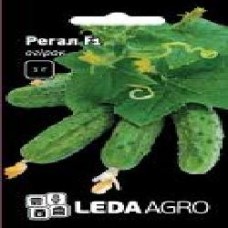 Семена LedaAgro огурец Регал F1 1 г (4820119792568)