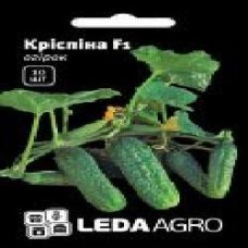 Семена LedaAgro огурец Криспина F1 10 шт. (4820119790816)