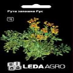 Семена LedaAgro рута душистая Руе 0,2 г (4820119793930)